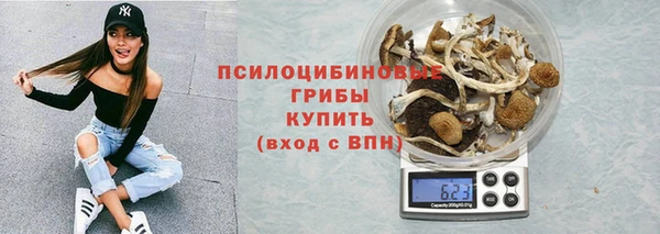твердый Алзамай