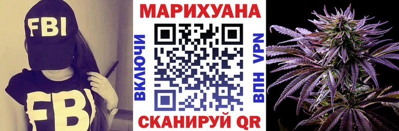 Купить закладки  Чекалин  Бошки Шишки OG Kush 